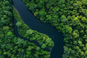 Aerial View of Winding River Through Lush Green Forests nature background photo