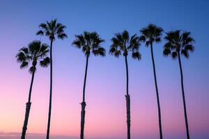 Palm Trees Silhouetted Against Twilight Sky Nature Background photo