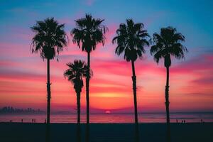 Palm Trees Silhouetted Against a Fiery Sunset Sky Over a Calm Beach in Nature Background photo