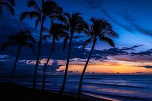Palm Trees Silhouetted Against a Dramatic Sky During Twilight on a Tranquil Beach in Nature Background photo