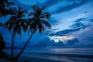 Palm Trees Silhouetted Against a Dramatic Sky During Twilight on a Tranquil Beach in Nature Background photo