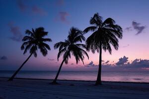 Palm Trees Silhouetted Against a Dramatic Sky During Twilight on a Tranquil Beach in Nature Background photo
