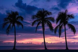 Palm Trees Silhouetted Against a Dramatic Sky During Twilight on a Tranquil Beach in Nature Background photo