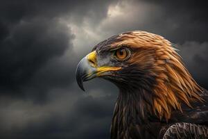 Portrait of a Golden Eagle with Piercing Eyes Against a Dramatic Cloudy Sky Nature Background photo