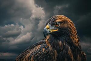 Portrait of a Golden Eagle with Piercing Eyes Against a Dramatic Cloudy Sky Nature Background photo