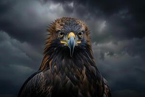 Portrait of a Golden Eagle with Piercing Eyes Against a Dramatic Cloudy Sky Nature Background photo
