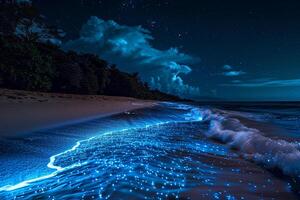 Secluded beach illuminated by bioluminescent plankton creating a glowing effect in the night waves. Nature Background photo