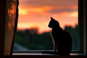 Siamese cat elegantly perched on a window sill silhouetted against a  sunset sky with a soft breeze gently ruffling its fur. Nature Background photo