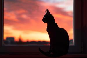siamés gato encaramado graciosamente en un ventana umbral silueta por un puesta de sol cielo con un amable brisa agregando movimiento a sus pelo. naturaleza antecedentes foto