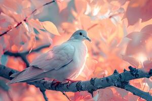 Infrareda Mourning Dove Perched on a Tree Branch with Surreal Glowing Foliage and Nature Background photo