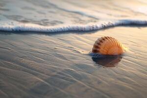 Single Seashell Resting on Smooth Wet Sand with Gentle Waves Lapping at the Shore Nature Background photo