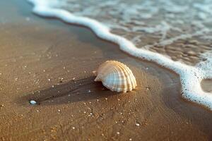 Single Seashell Resting on Smooth Wet Sand with Gentle Waves Lapping at the Shore Nature Background photo