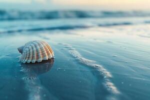 Single Seashell Resting on Smooth Wet Sand with Gentle Waves Lapping at the Shore Nature Background photo