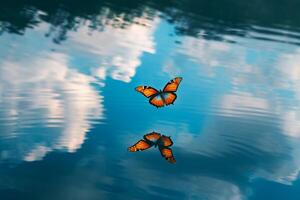 Motiona Julia Longwing Butterfly Fluttering Gracefully Over a Serene Lake with Reflections of Blue Sky and Clouds on the Waters Surface with Nature Background photo