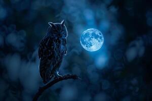 owl perched on a branch under a full moon nature background photo