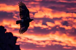 Silhouette of a Hawk Soaring High Above a Rocky Canyon with the  Colors of a Sunset Sky in the Background Nature photo