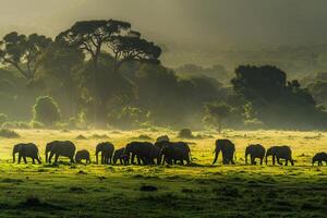 Herd of Elephants Grazing on Lush Grasslands Nature Background photo