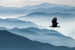 Bald Eagle Soaring High Above a Mountain Range Nature Background photo