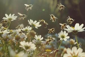 swarm of bees pollinating flowers in a garden Nature Background photo