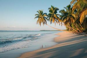 A Palm Fringed Beach at Sunrise with Gentle Waves Lapping the Shore Nature Background photo