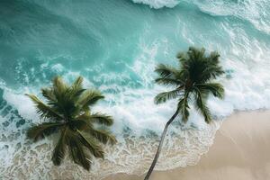 Palm Trees Swaying Gently on a Sandy Beach with Turquoise Waves Breaking on the Shore Nature Background photo