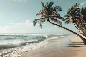 Palm Trees Swaying in the Breeze on a Sandy Beach with Gentle Waves Rolling Ashore Nature Background photo