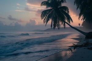 A Palm Fringed Beach at Sunrise with Gentle Waves Lapping the Shore Nature Background photo