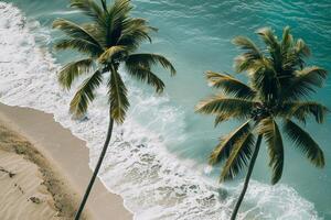 Palm Trees Swaying Gently on a Sandy Beach with Turquoise Waves Breaking on the Shore Nature Background photo