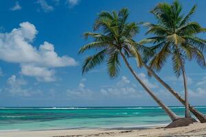 Coconut Palm Trees Swaying Gently Against Clear Azure Sky and Turquoise Ocean Nature Background photo
