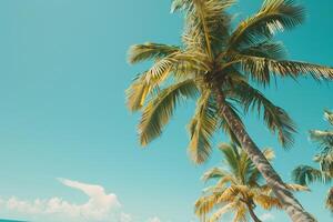 Coconut Palm Trees Swaying Gently Against Clear Azure Sky and Turquoise Ocean Nature Background photo