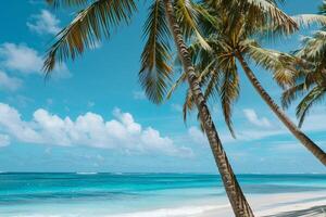 Coconut Palm Trees Swaying Gently Against Clear Azure Sky and Turquoise Ocean Nature Background photo
