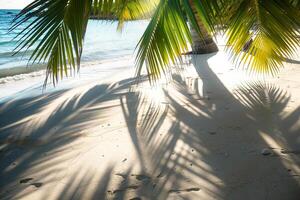 Sunlit Palms Casting Shadows on Sandy Beach Tropical Island  Nature Background photo