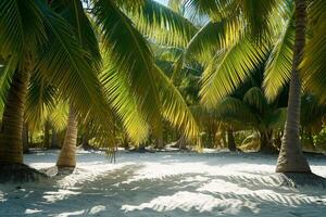 Sunlit Palm Trees Casting Shadows on Sandy Beach Tropical Island  Nature Background photo