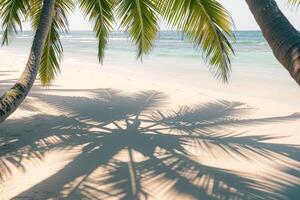 Sunlit Palms Casting Shadows on Sandy Beach Tropical Island  Nature Background photo