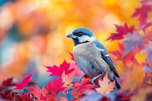 Birds Amidst Fall Foliage in a Backyard with Nature Background photo