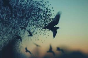 Flock of Starlings Creating Intricate Patterns in the Sky at Dusk Nature Background photo