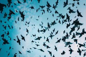 Flock of Starlings Creating Intricate Patterns in the Sky at Dusk Nature Background photo