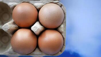Fresh chicken eggs sits in the paper carton, online shopping concept for grocery or food store and goods selection, pastel blue sky background photo