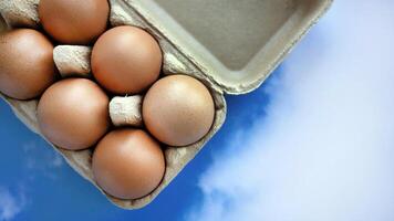 Fresh chicken eggs sits in the paper carton, online shopping concept for grocery or food store and goods selection, pastel blue sky background photo