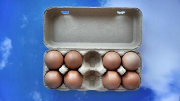 Fresh chicken eggs sits in the paper carton, online shopping concept for grocery or food store and goods selection, pastel blue sky background photo