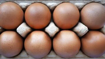Fresh chicken eggs sits in the paper carton, online shopping concept for grocery or food store and goods selection, pastel blue sky background photo