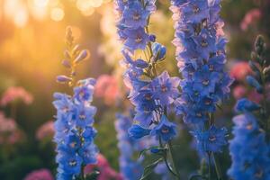 Delphinium Flowers in a Peaceful Garden with Serene Atmosphere Nature Background photo