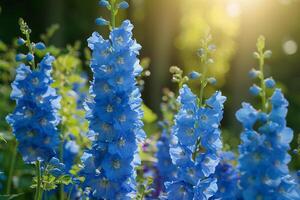 Delphinium Flowers in a Peaceful Garden with Serene Atmosphere Nature Background photo