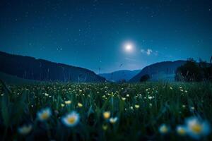 Night meadow illuminated by moonlight. background. Nature photo