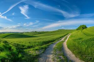 Green Fields with a Winding Path Background Nature photo