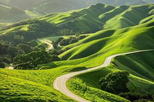 Rolling Green Hills with a Winding Road Background Nature photo