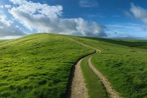 Green Fields with a Winding Path Background Nature photo