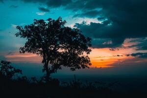 Hilltop Sunset with Silhouette of Trees. background. Nature photo