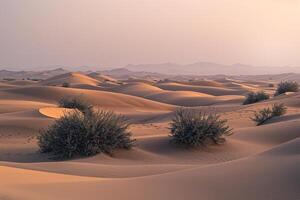 Distant Sand Dunes. Nature. Background photo