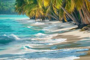 Sandy Beach with Palm Trees and Turquoise Water. Nature. Background photo